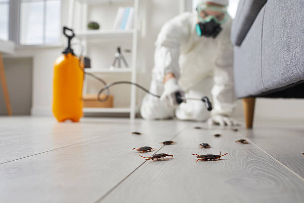 Post-Treatment Bed Bug Interceptor Monitoring in Craig Beach